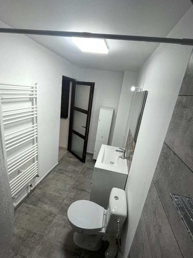 ブザウCasa Danアパートメント エクステリア 写真